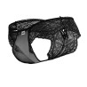 CandyMan String dentelle Dazil Noir